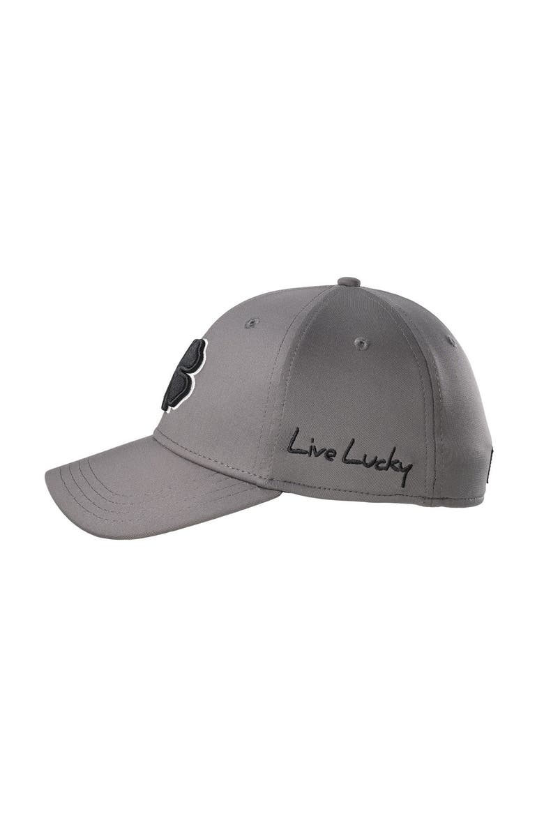 Premium Clover 22 Hat, Alternate, color, Grey