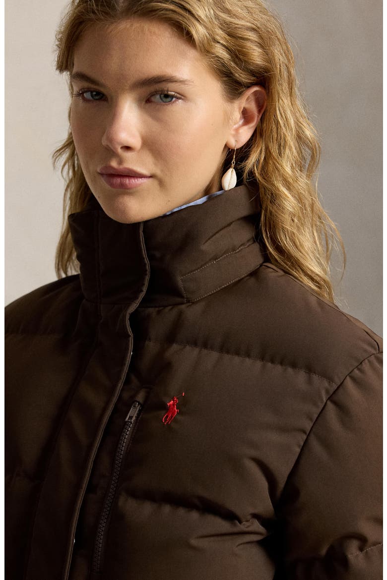 Water Resistant 750 Fill Power Down Puffer Jacket with Removable Hood, Alternate, color, DARK BEECH