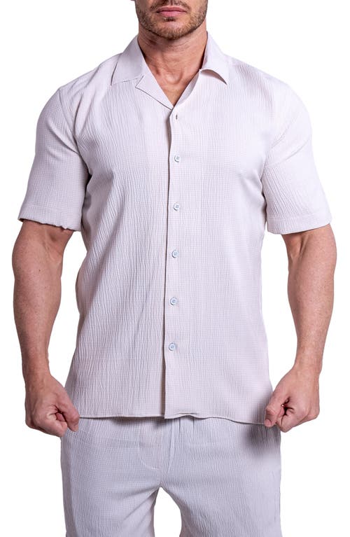 Maceoo Everyday Cream White Short Sleeve Button-up Shirt