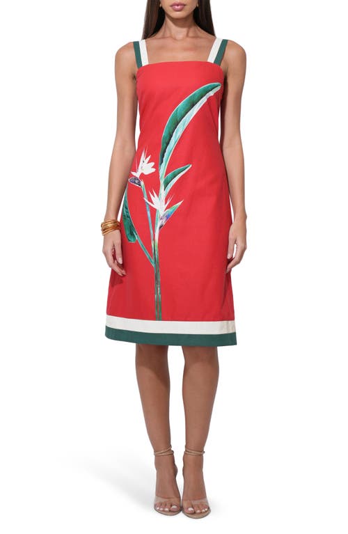 Adelyn Rae Bird Of Paradise Print Cotton & Linen Midi Dress In Red