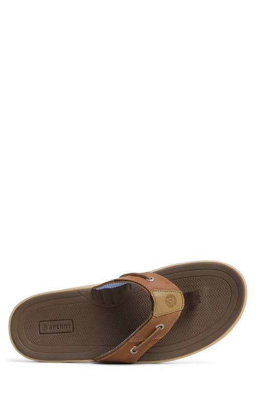 Sperry Baitfish Flip Flop In Tan Suede