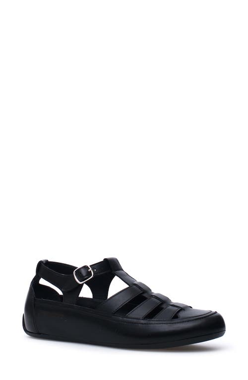 Candice Cooper Rock T-bar Fisherman Sandal In Black