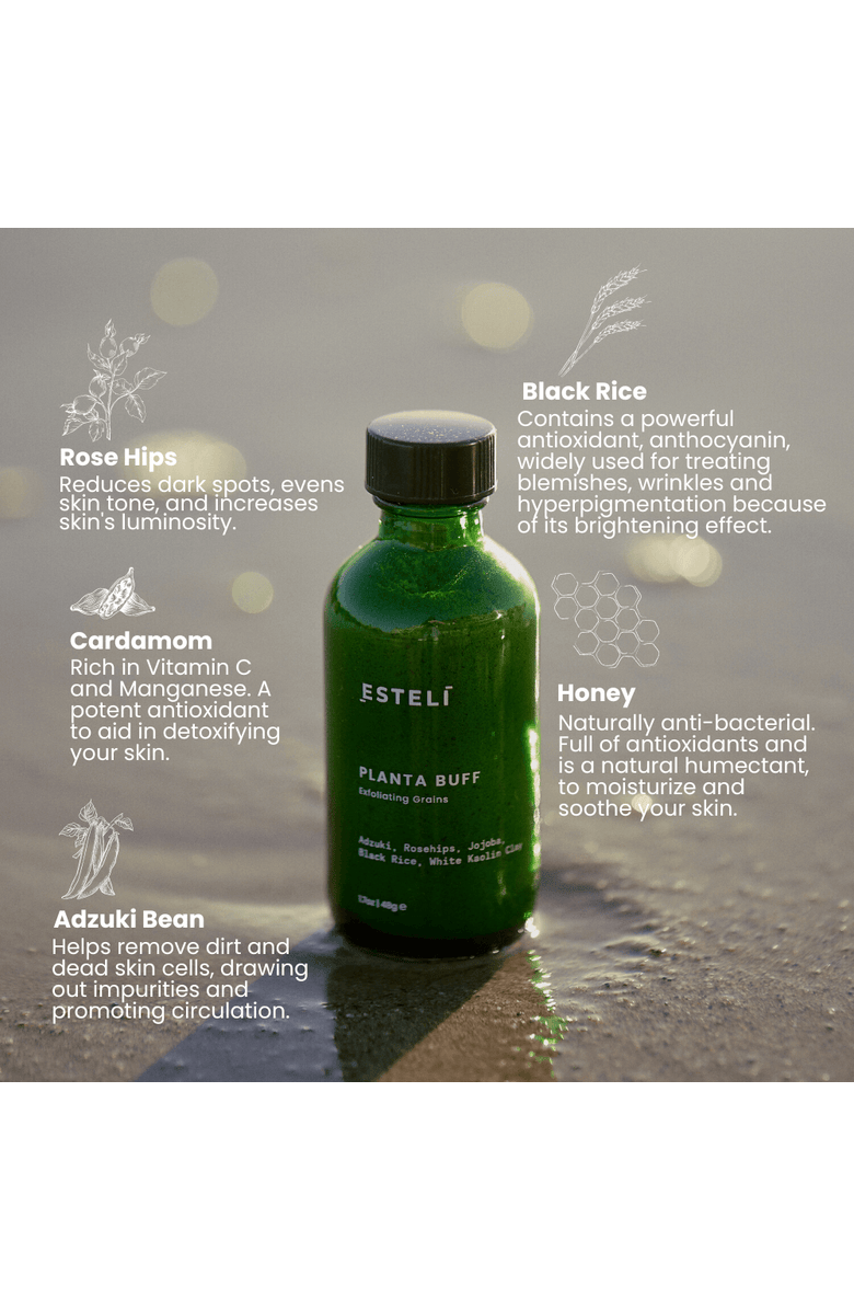 Esteli PLANTA BUFF Exfoliating Grains FACE, Alternate, color, Dark Green