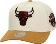 Mitchell & Ness Men's Mitchell & Ness  Cream Chicago Bulls Ochre Dusted Double Two-Toned Pro Crown Adjustable Hat