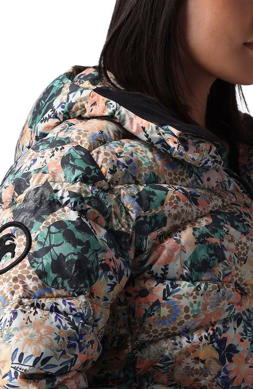 Backcountry Stansbury Allied Down Jacket In Multi