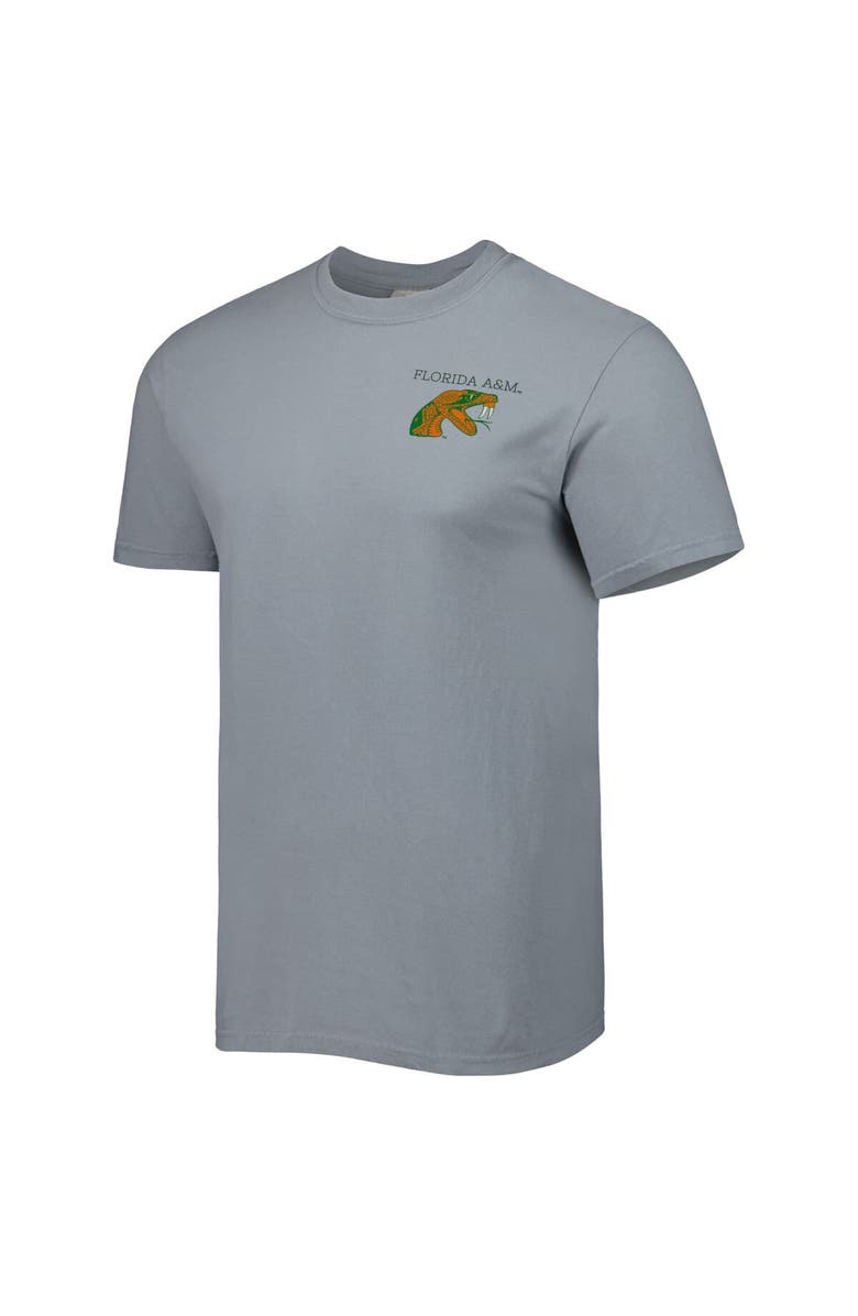 IMAGE ONE Men's Gray Florida A&M Rattlers Campus Scenery Comfort Color T-Shirt, Alternate, color,