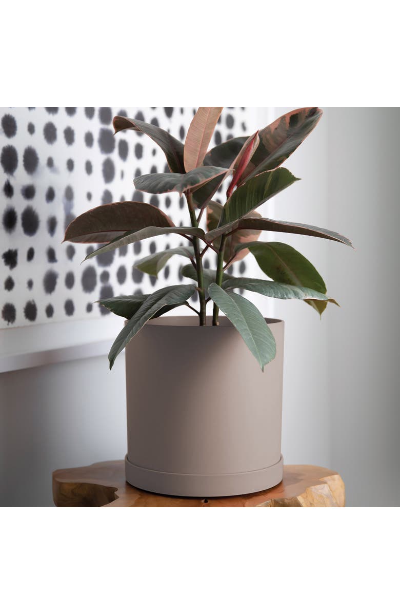 Bloem Mathers Planter with Saucer Tray 10 Inch, Pebble Stone Beige, Alternate, color, Beige