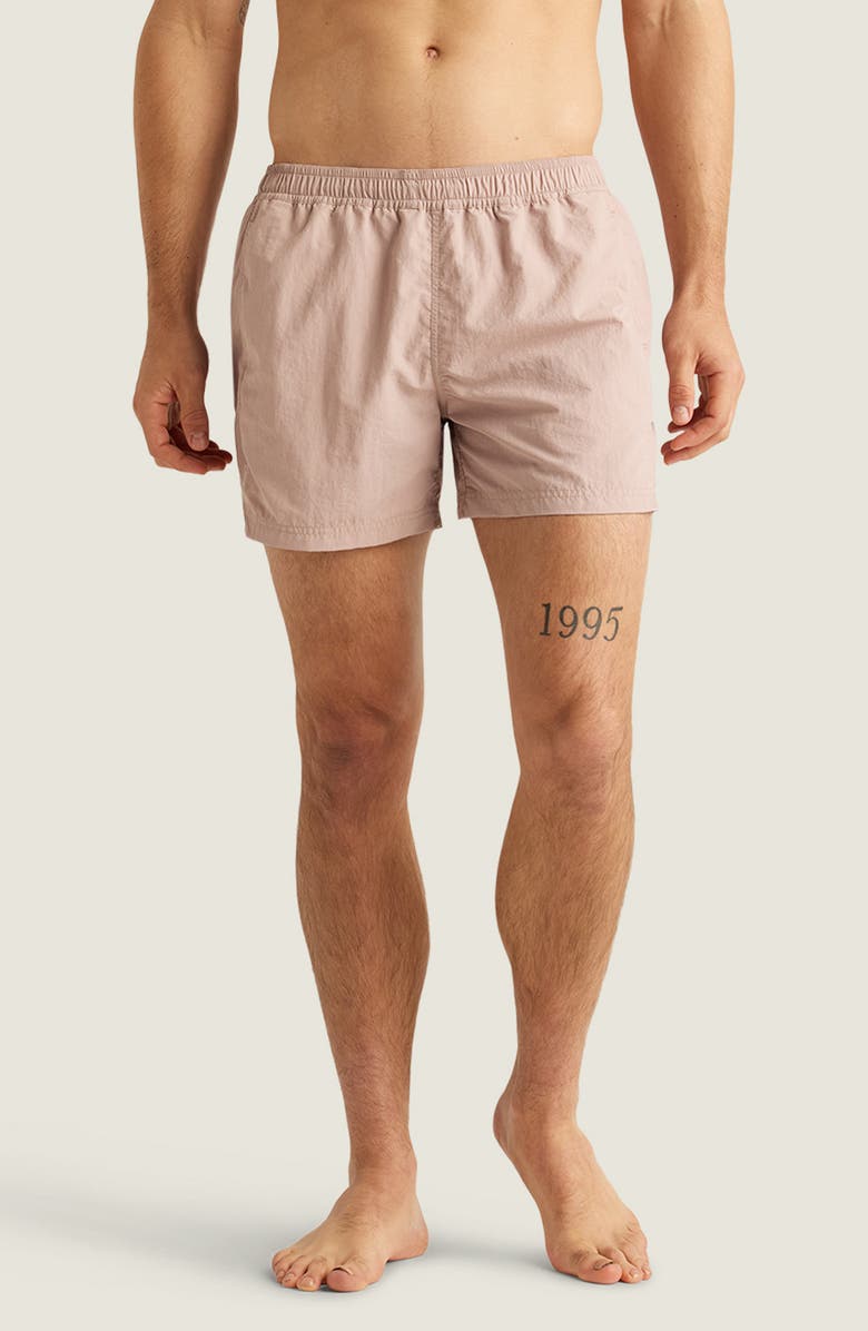 AUTO-REPLY<sup>™</sup> Sebastian Solid 4-Inch Nylon Swim Trunks, Main, color, Clay