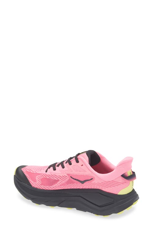 Hoka Challenger 8 Running Shoe In Pink