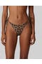 selected Leopard Brown