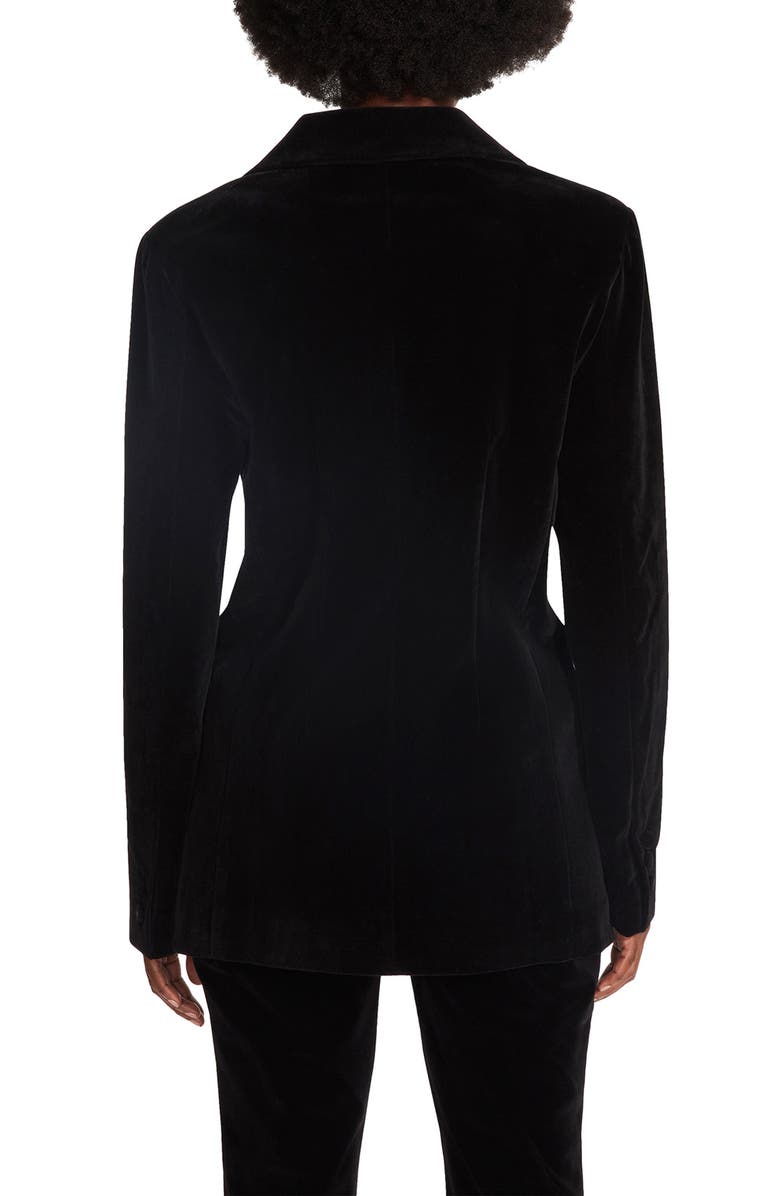 Steve Madden Harlow Velvet Blazer, Alternate, color,