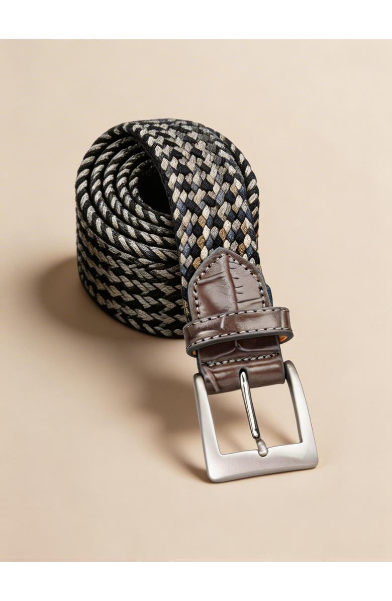 ASHWORTH GOLF Stretch Weave with Embossed Croc Tips, Main, color, Stone Multi