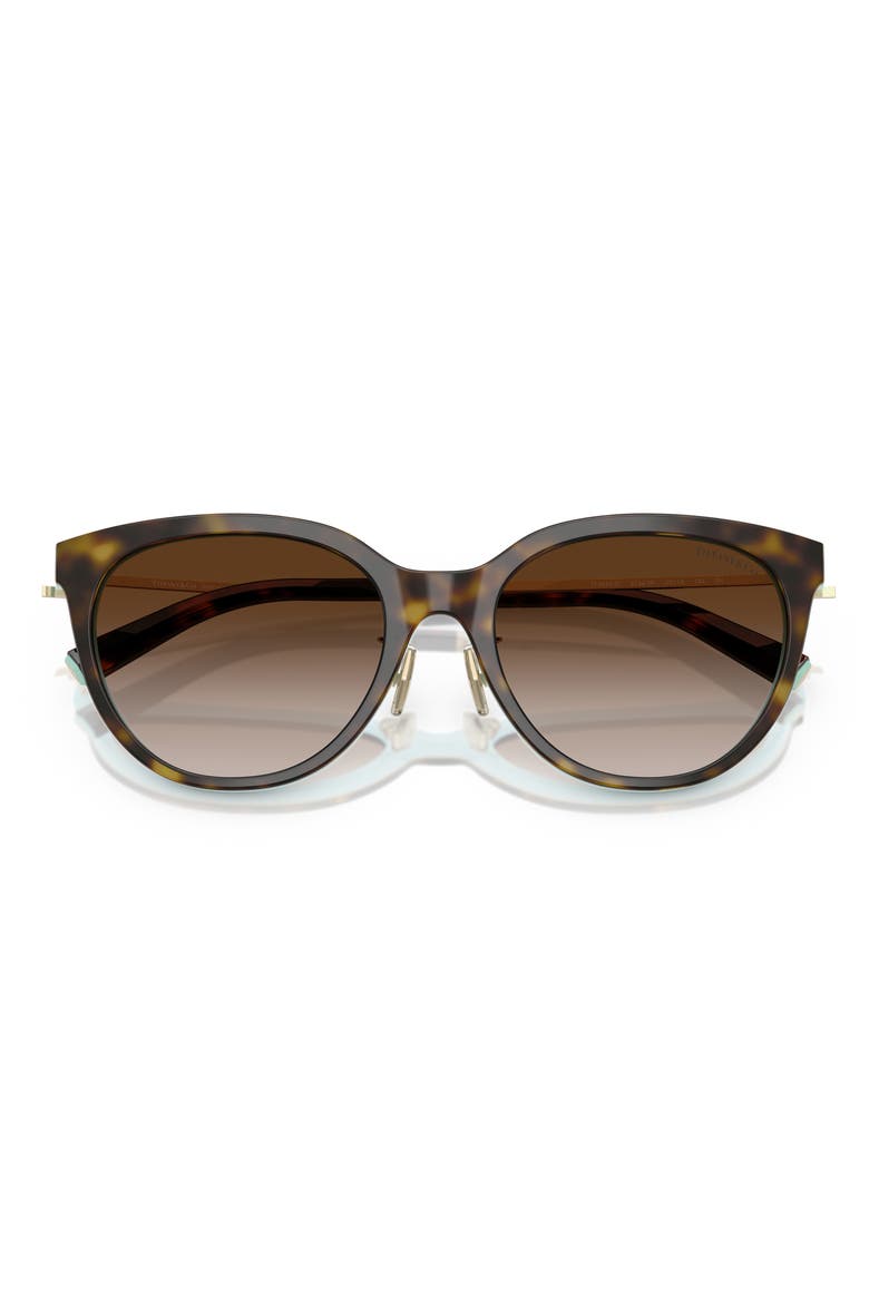 55mm Round Sunglasses, Alternate, color, HAVANA ON TIFFANY BLUE / BROWN