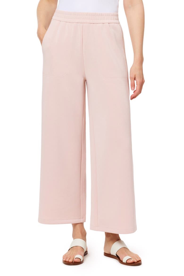 Crop Wide Leg Pants, Main, color, ROSE SMOKE