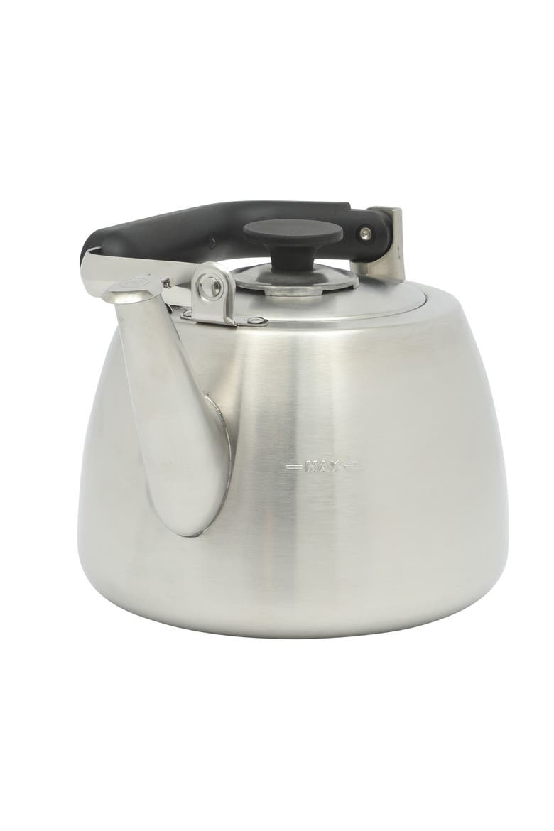 Stainless Steel Whistling Stovetop Tea Kettle, Alternate, color, Stainless Steel