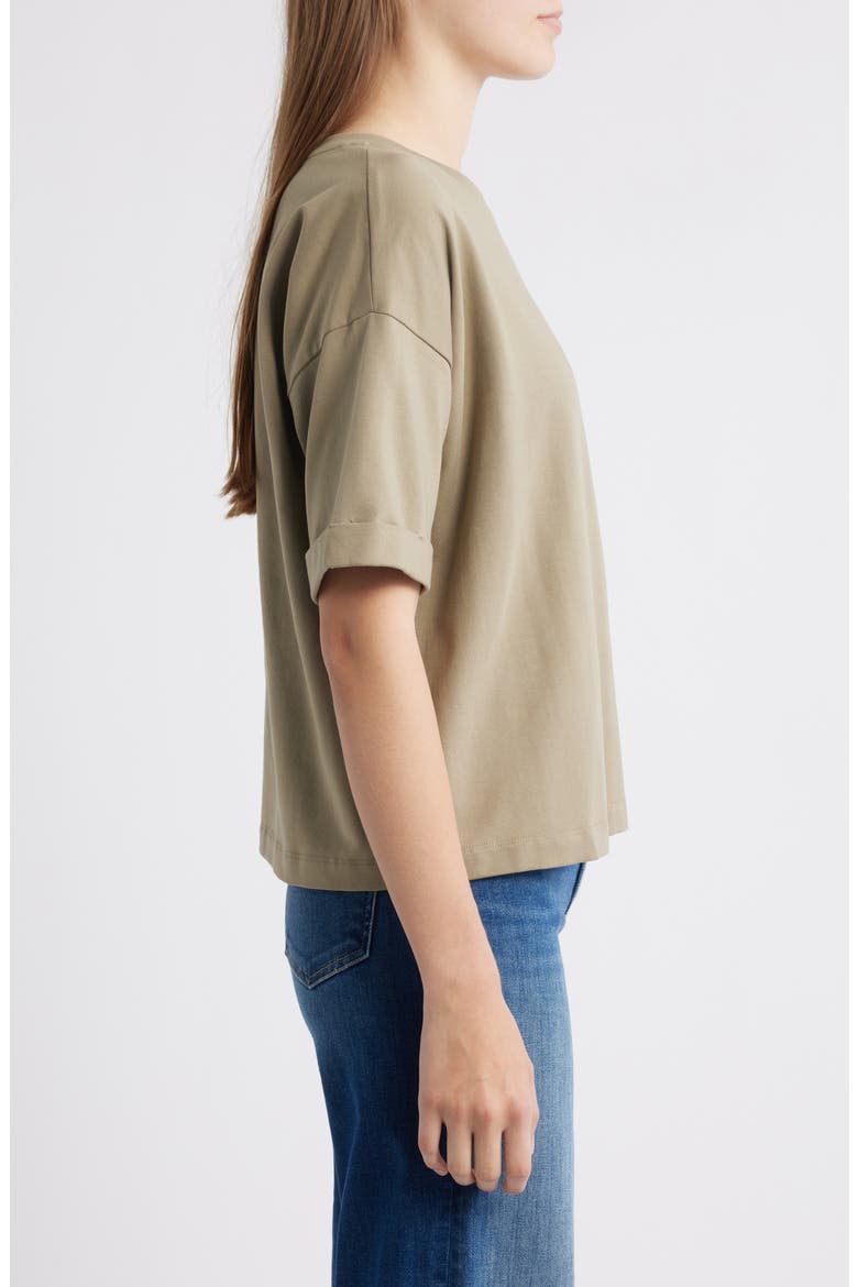 Cuffed Sleeve Cotton Crewneck T-Shirt, Alternate, color, TWIG