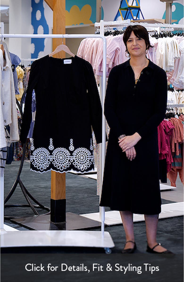 Embroidered Eyelet Border Long Sleeve Cotton Minidress, sales video thumbnail