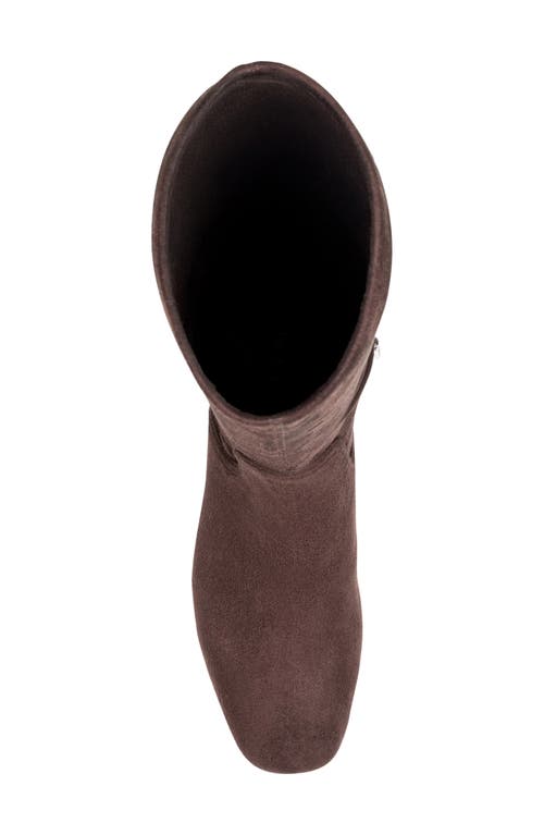 Donald Pliner Flourish Knee High Boot In Brown