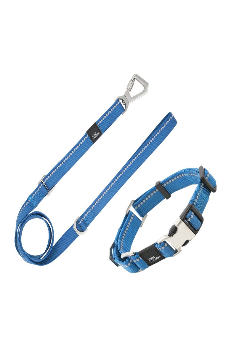 'Advent' Outdoor Series 3M Reflective 2-in-1 Durable Martingale Training Dog Leash & Collar - Large, Alternate, color, BLUE