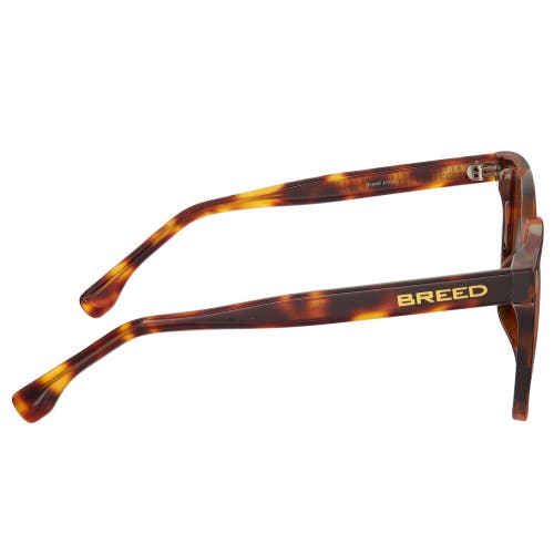 Breed Linux Polarized Sunglasses In Tortoise/brown