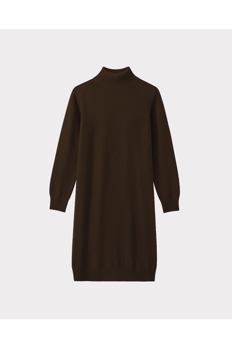Turtle Neck Knitted Dress, Alternate, color, Chocolate