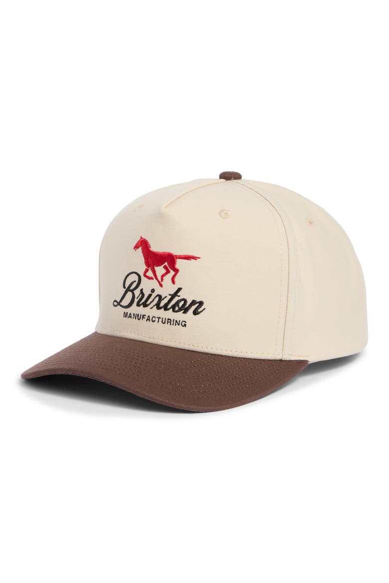 Leisure Netplus Baseball Cap, Main, color, KHAKI/ COCO