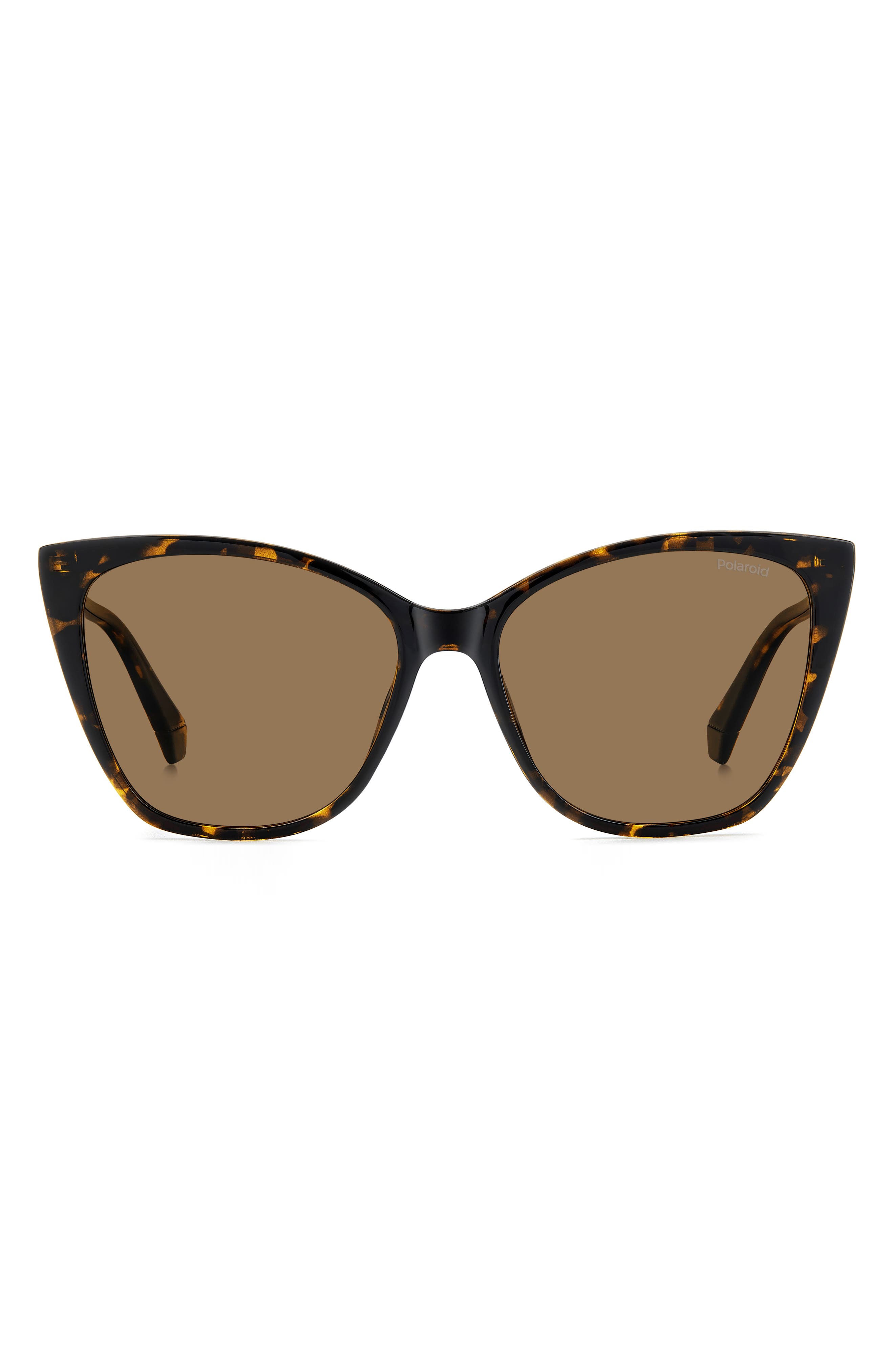 selected HAVANA/ BRONZE POLAR