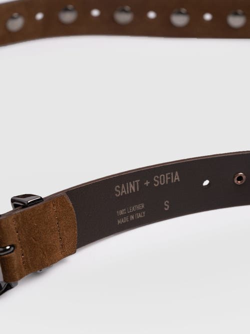 Saint + Sofia Roxie Studded Belt In Brown