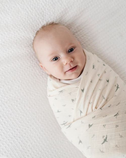 Ely's & Co. Cotton Muslin Swaddle Blanket 1 Pack