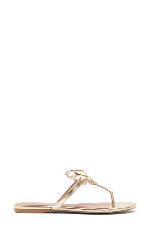 Linea Paolo Laurel Flower Sandal