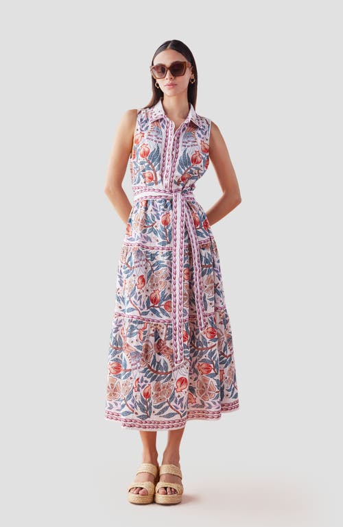 Shop Omika Emeline Maxi In Kala Daydream