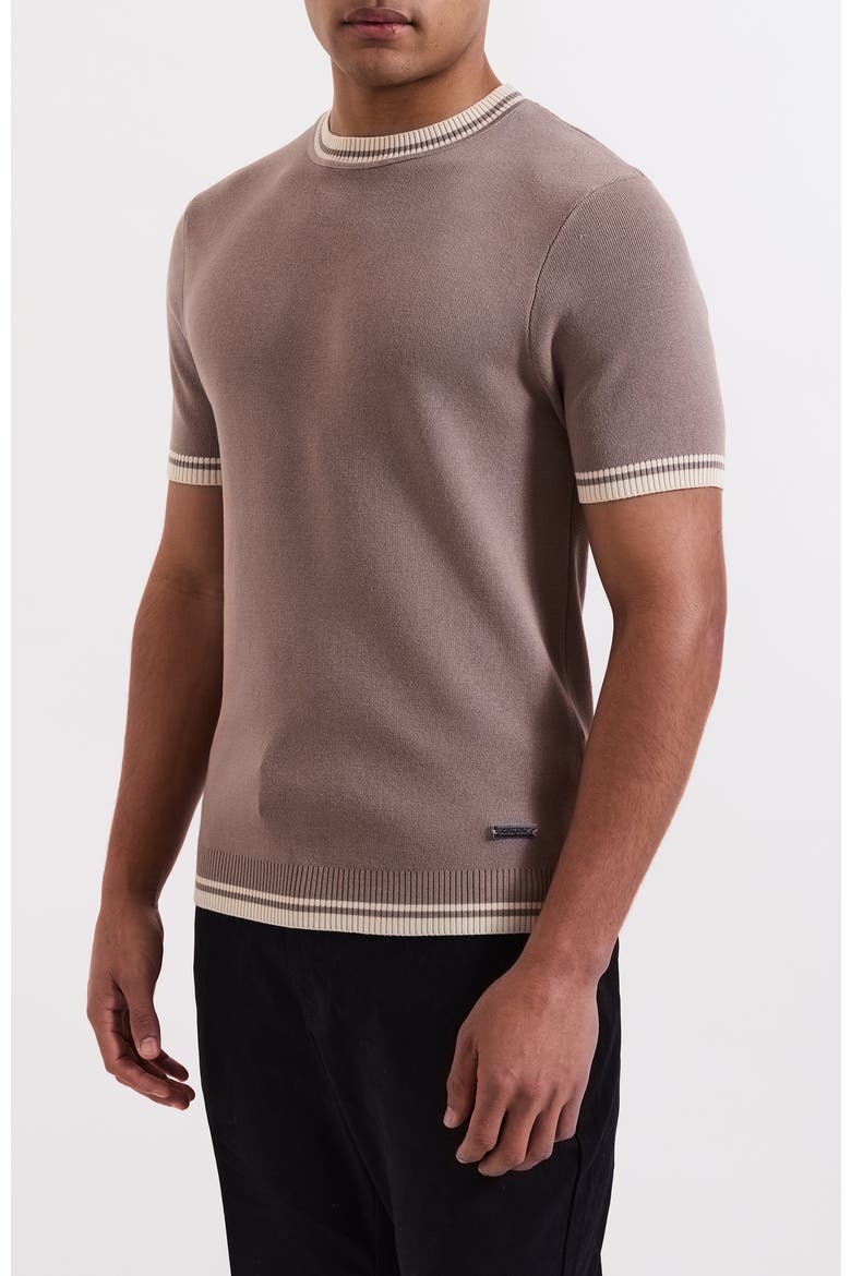 Riccio Slim Knit Tipped Tee, Alternate, color, Medium Beige