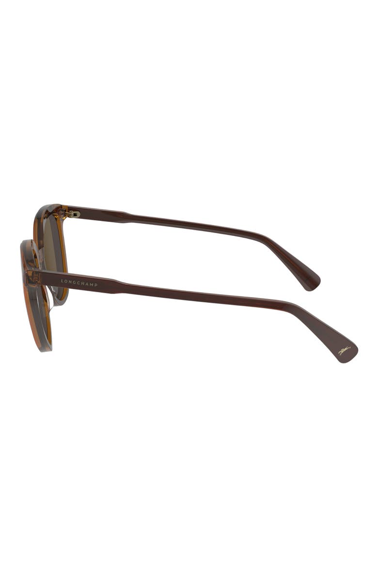 50mm Round Sunglasses, Alternate, color, BROWN/ CARAMEL