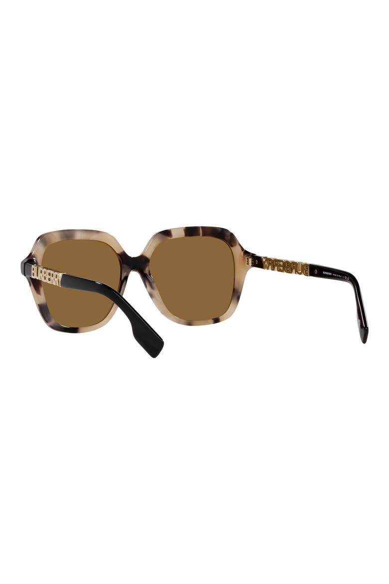 Joni 55mm Square Sunglasses, Alternate, color, SPOTTED HORN