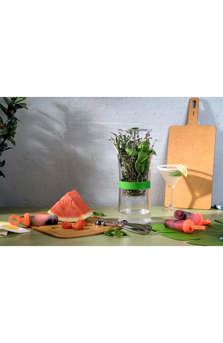 CUISIPRO Snap-Fit Circle Pop Mold, Alternate, color,