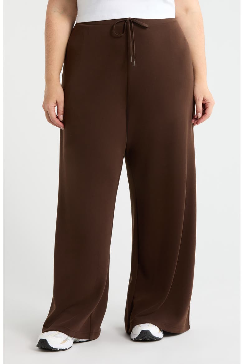 Soft Luxe Wide Leg Pants, Main, color, BROWN MOLE'