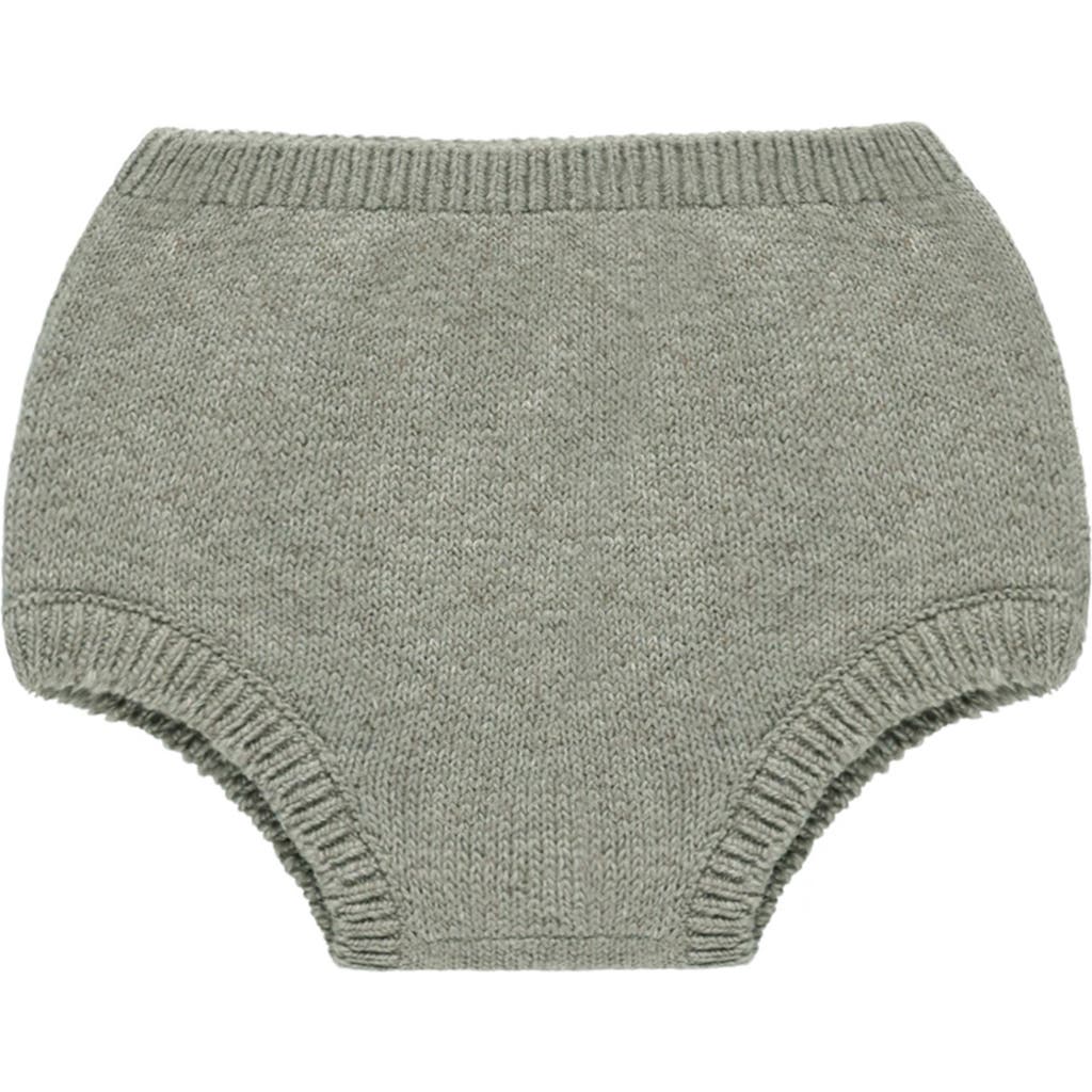 Quincy Mae Organic Cotton Knit Bloomers In Green