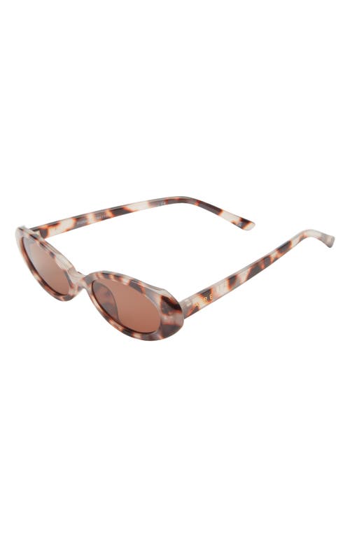 Aire Fornax 53mm Oval Sunglasses In Cookie Tort