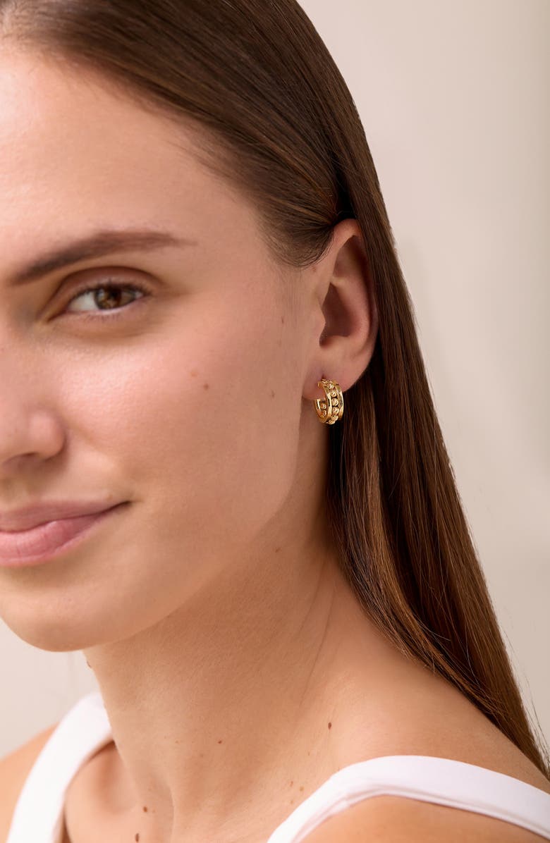 Bony Levy 14K Gold Beaded Hoop Earrings, Alternate, color, 14K Yellow Gold