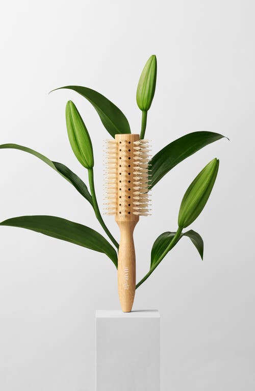 The Hair Edit Sleek Goddess Boar Bristle Bamboo Round Brush In Transparent