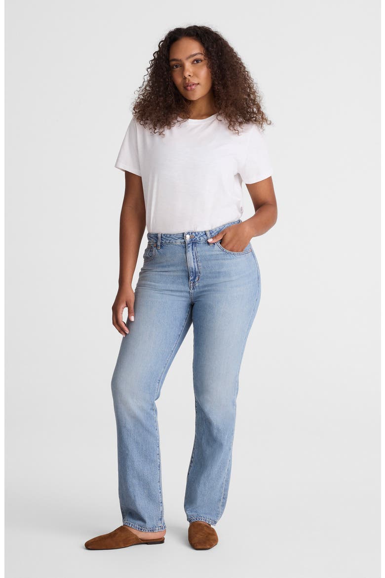 The Curvy Dean Easy Straight Jeans, Alternate, color, FADED HORIZON WASH