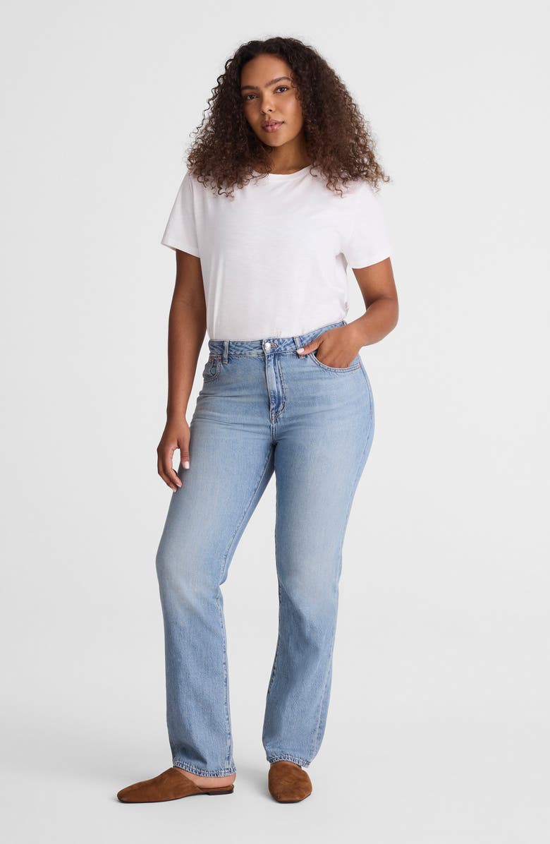Madewell The Curvy Dean Easy Straight Jeans, Alternate, color, Faded Horizon Wash