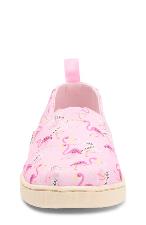 Toms Kids' Classic Alpargata Flamingo Slip-on In Pink