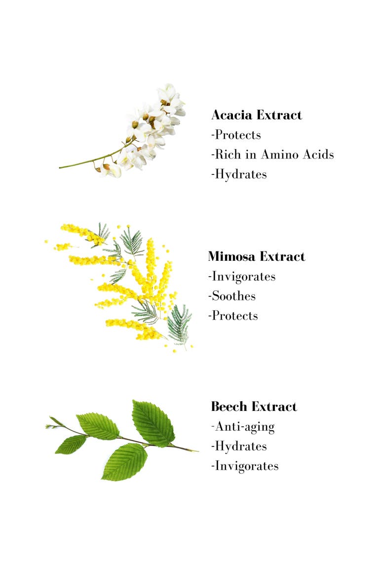 Tonique Vivifiant Leave-In Treatment, Alternate, color, NO COLOR