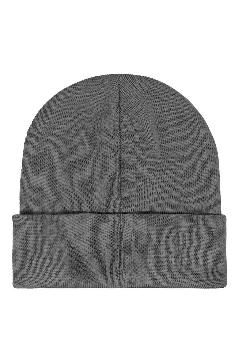 Martini Beanie Cap, Alternate, color, Asphalt Gray