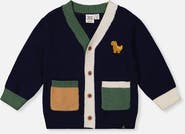 Deux par Deux Dino Embroidered Colorblock Pocket Knit Cardigan