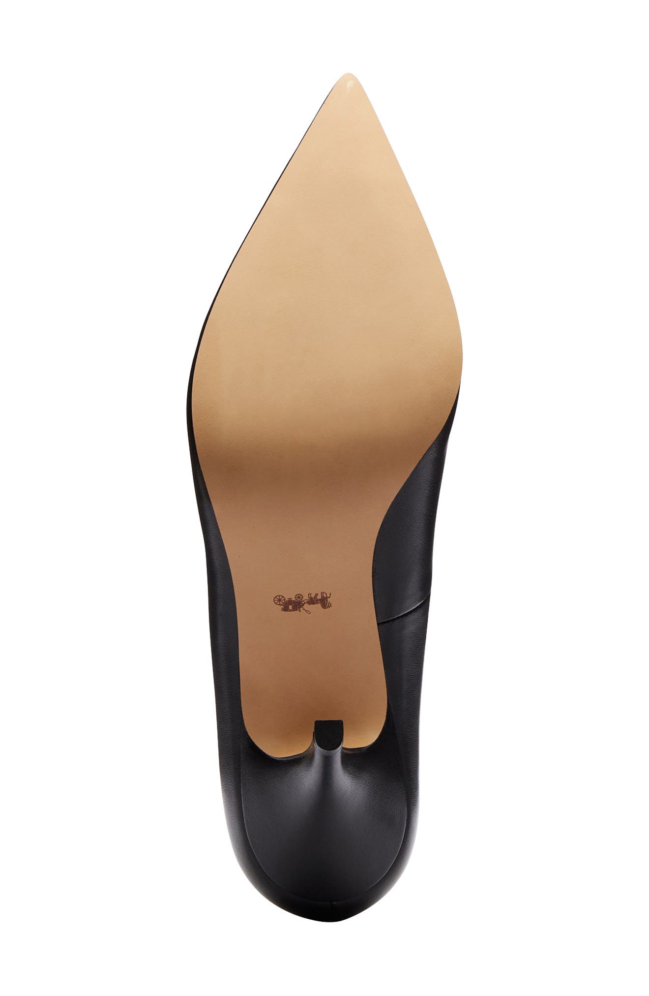 Daisy Pointed Toe Pump, Alternate, color, BLACK