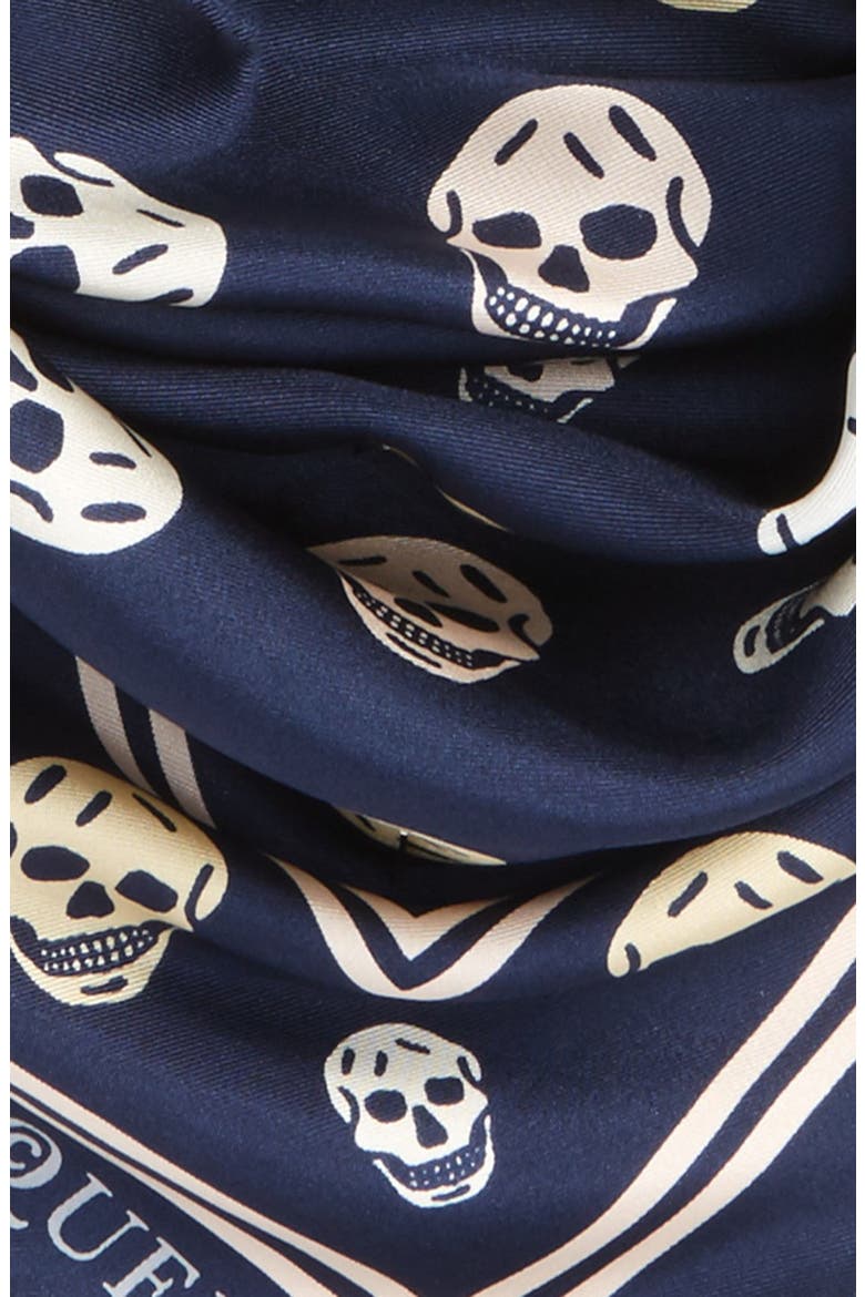 Alexander McQueen Skull Print Silk Twill Scarf, Alternate, color, NAVY/IVORY