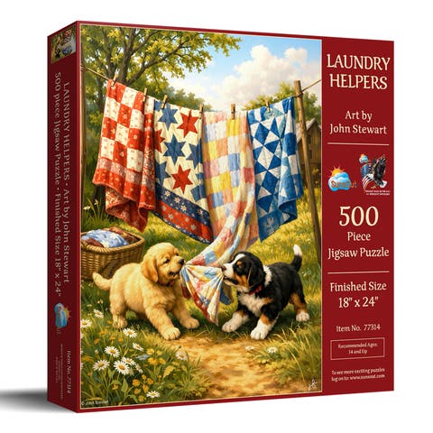 Laundry Helpers 500