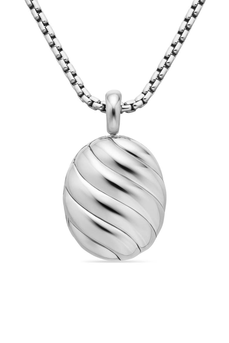 Sculpted Cable Coin Pendant, Main, color, STERLING SILVER